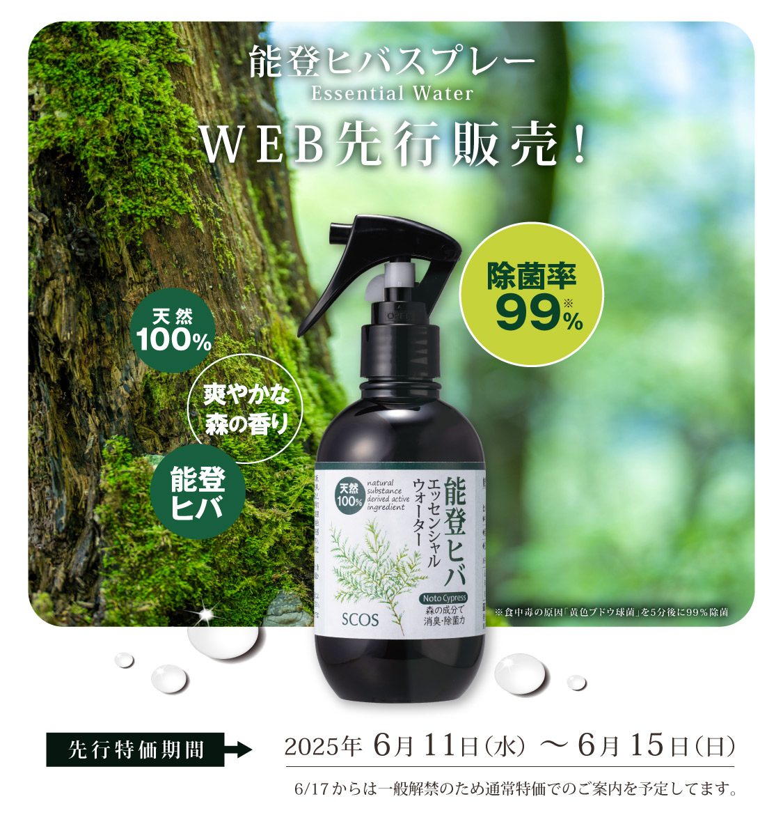 能登ヒバスプレー先行販売